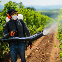 Villager motorna leđna prskalica atomizer DM 14 P