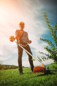 Villager motorni trimer za travu BC 755 SE